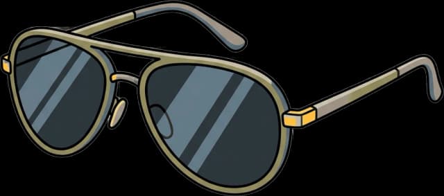 Sunglasses